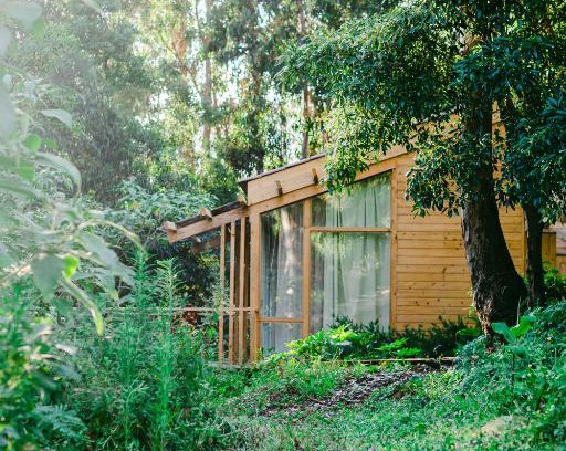 Velas Hotel | Cabanas da Viscondessa