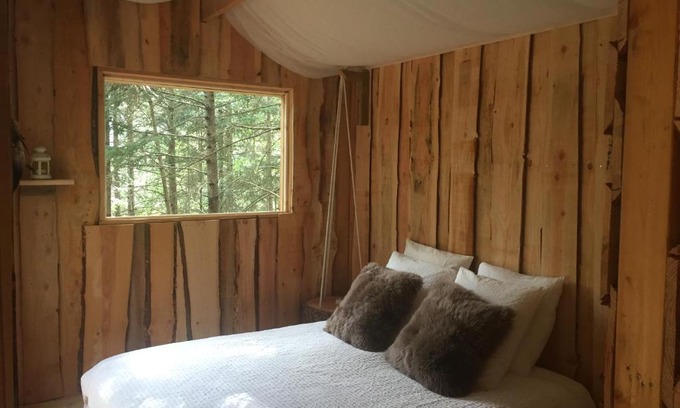 Chatel-Guyon Other | cabane de l'Ecureuil