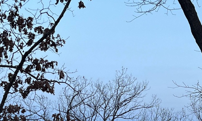 Osage Beach Cabin | Cabin by the Lake