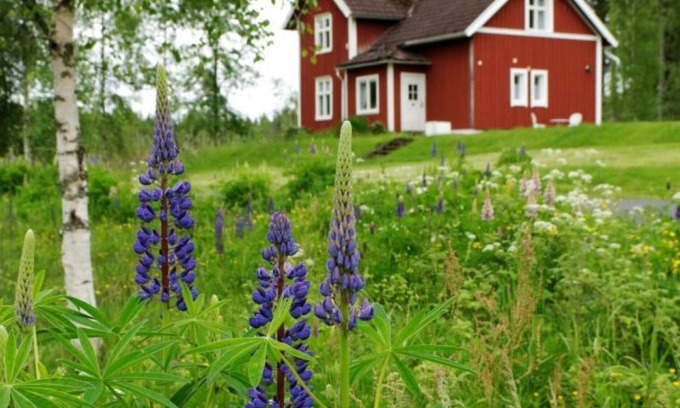 Skillingaryd House | Cabin in Småland with secluded location