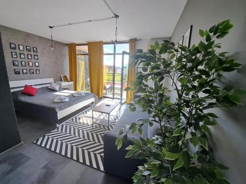 Sunny Beach Apartment | Cacao Beach Private Studio
