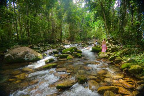 Bellenden Ker Apartment | Cairns Rainforest Hideaway