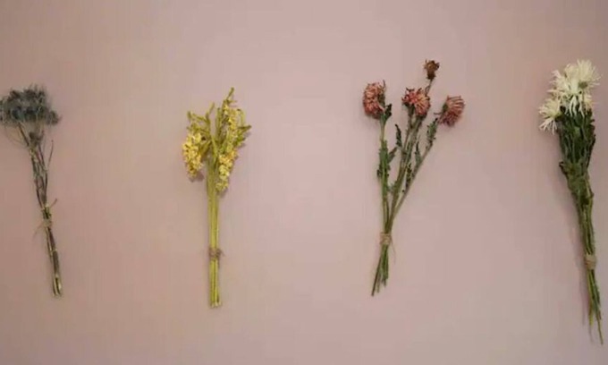 Park View House | Calm and Cozy Refuge from City Life