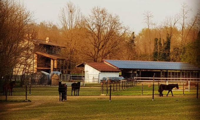 Cossano Canavese Bed & Breakfast | Cameloth B&B