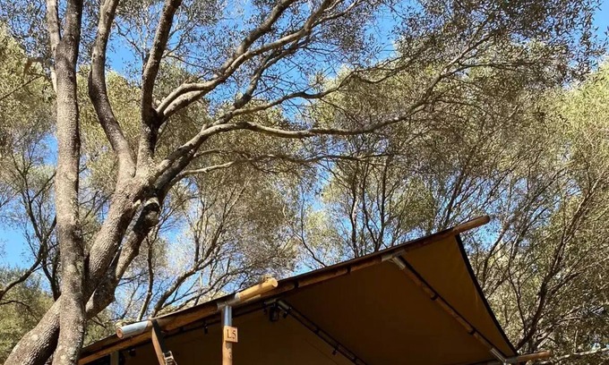 Vetricella House | Camping Vigna Maggiore * - LODGE TENT without bathroom! 5 people