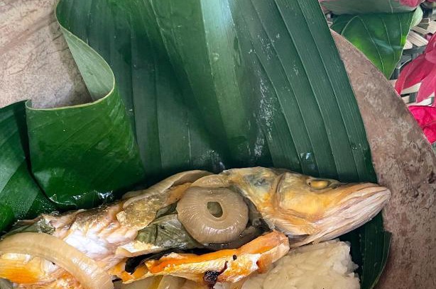 Panama Bed & Breakfast | Campo laurel