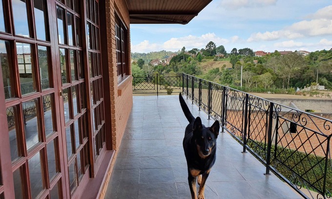 Recanto Araucaria House | Campos do Jordão - The European charm of Brazilian Switzerland