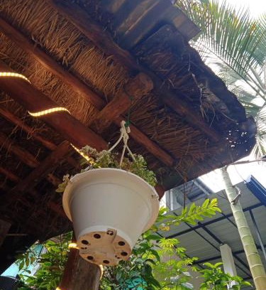 Ambagollapathana House | Cane Homestay