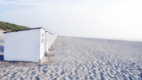 Sint-Idesbald Apartment | Carpe diem Noguchi 201- Adults Only