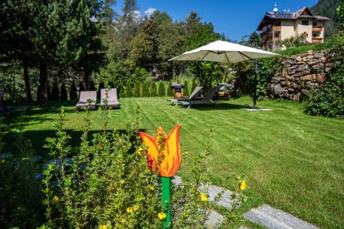 Celledizzo Apartment | Casa Ai Laresi 2