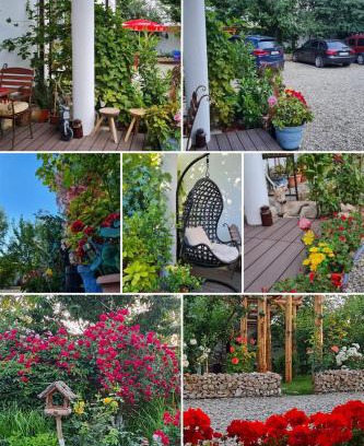 Sinpetru Apartment | CASA ARYAN