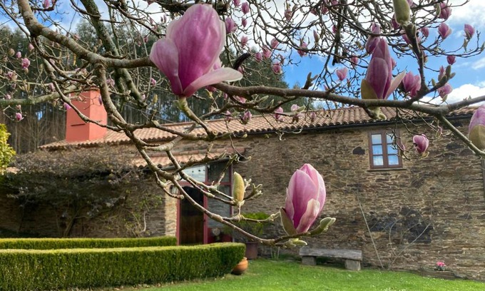 Valdovino House | Casa Castro de Crecente