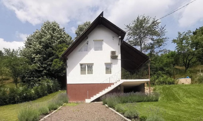 Seini House | Casa cu veverițe