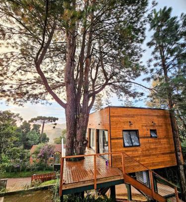 Alto da Boa Vista Ski Chalet | Casa da Árvore - ManTeQuiero