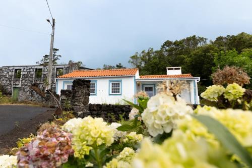 Sao Caetano Villa | Casa da Mãe - Entre o Pico e a Maré