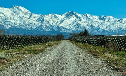 Mendoza Wine Region House | Casa de Huéspedes La Azul