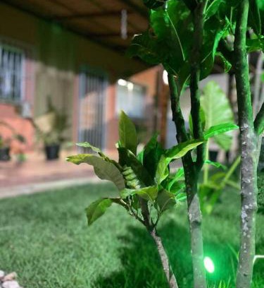 Praia de Carapebus House | Casa de Praia Carapebus