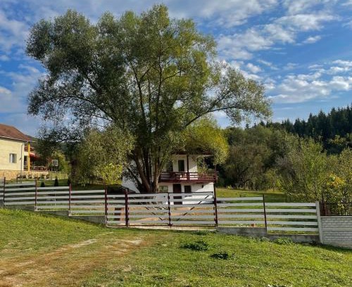 Curtea De Arges House | Casa de sub Salcie