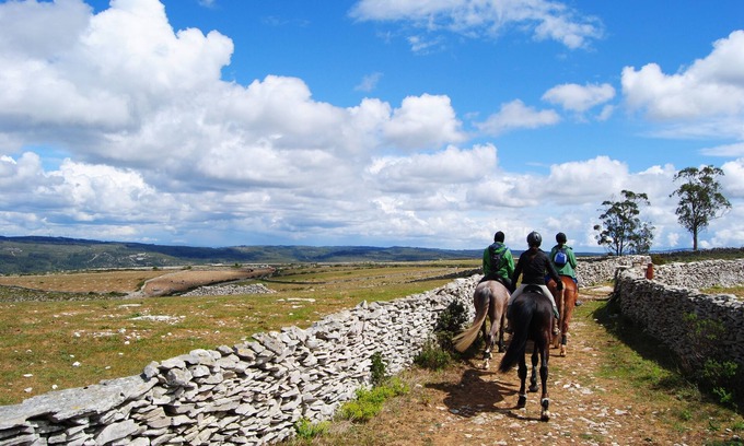 Alcanena Villa | Casa de Vila no Meio de Parque Natural. Relaxe Entre a Natureza e a Piscina