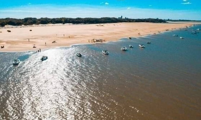 Concepcion del Uruguay House | Casa del Árbol