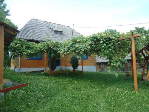 Somcuta Mare Apartment | Casa din Dâmb