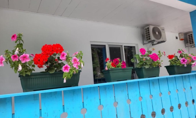 Jupiter House | Casa Dobrogea