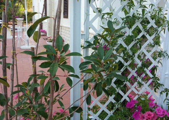 Specchiaruzzo House | Casa Fefè