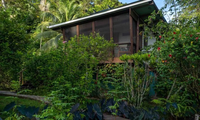 Isla Solarte House | Casa Florecer- bungalow at the edge of the sea