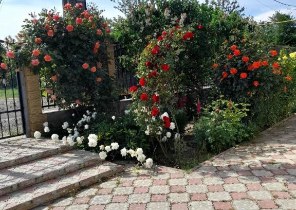 Douazeci si Trei August House | Casa G