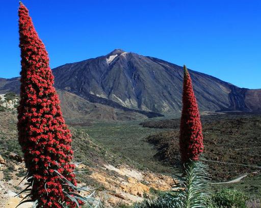San Isidro Apartment | Casa Ivonne - San Isidro