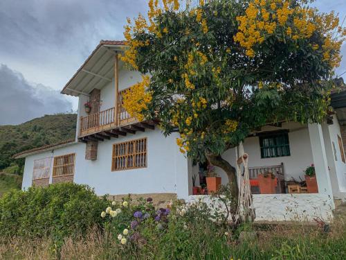 Mongui House | Casa Laurel