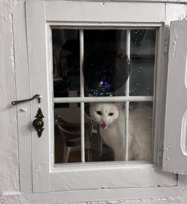 Iznajar House | Casa Leto Rural