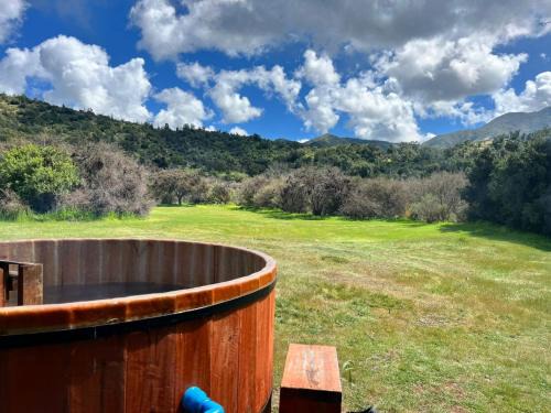 Curacavi House | Casa los Boldos