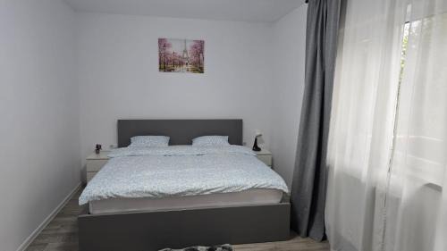 Magurele Villa | Casa Magurele 3