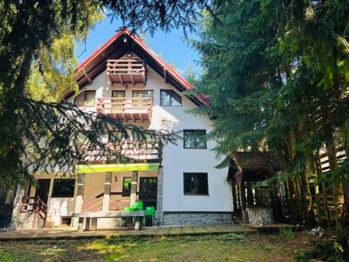 Dragoslavele Cabin | Casa Mario