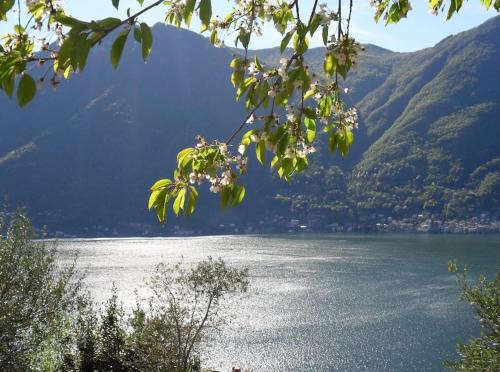 Nesso House | Casa privata con splendida vista lago "Il Gallicantus"