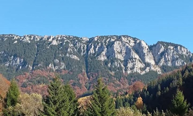 Rucar House | Casa Rania si Ayan Sătic Rucăr