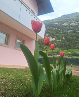 Padergnone House | Casa 'Rosa dei laghi'