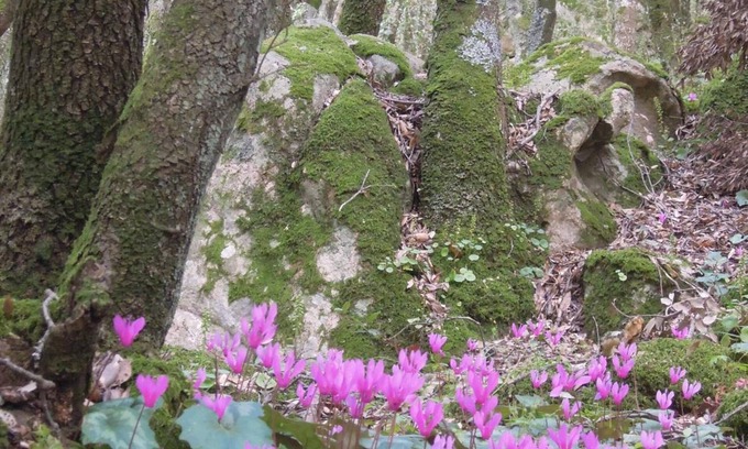 Nuoro Bed & Breakfast | Casa Solotti