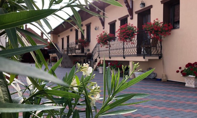 Brasov House | Casa Stanciu