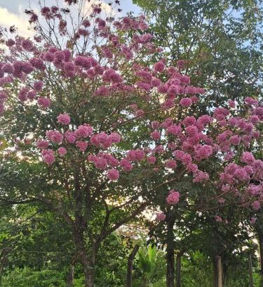 Triunfo House | Casa Temporada Oasis no Sertão
