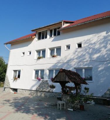 Cisnadie House | Casa Tonyza