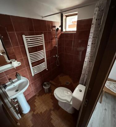 Cartisoara House | Casa Tradițională Cârtisoara