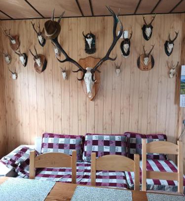 Vama Buzaului House | Casa Vanatorului Buzaiel