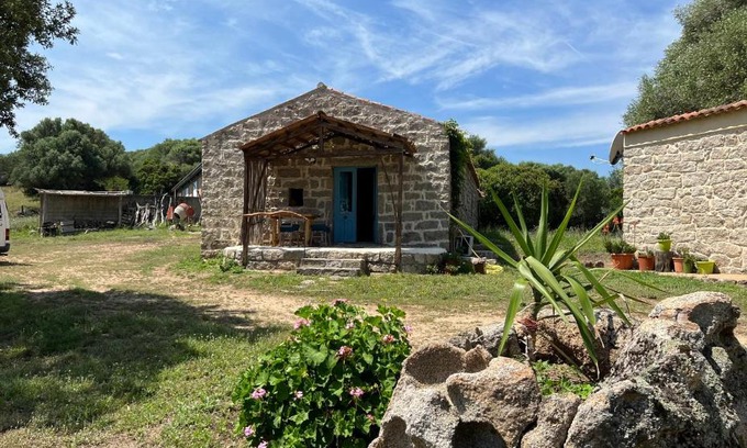 Sa Castangia Apartment | Casacci