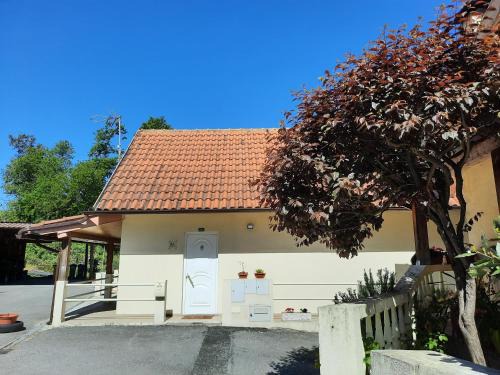 Ribeira de Pena Apartment | Casas do Caminho Velho