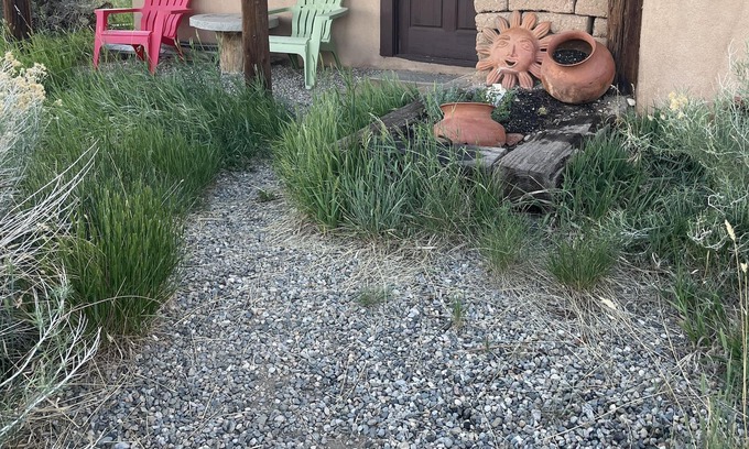 Arroyo Seco Apartment | Casita for skiers and hikers! Taos Ski Valley is 11 miles up the road.