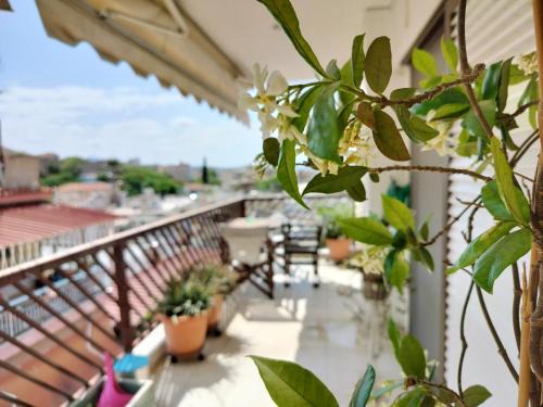 Sykies Apartment | CastleView 2BR Spacious Apartment with City View