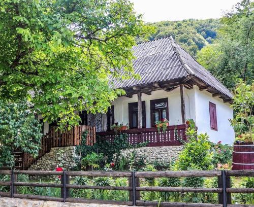 Tirgu Lapus House | Casuta Fermecata, Tara Lapusului