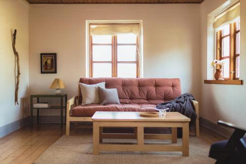 Langeland Municipality House | Cattle And Horses At Lundstedet At Skovsgaard